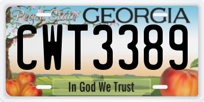 GA license plate CWT3389