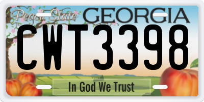 GA license plate CWT3398