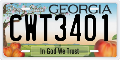 GA license plate CWT3401