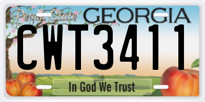 GA license plate CWT3411
