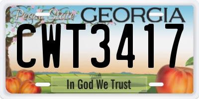 GA license plate CWT3417