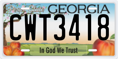 GA license plate CWT3418