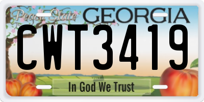GA license plate CWT3419