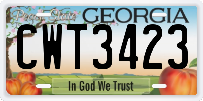 GA license plate CWT3423