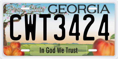 GA license plate CWT3424