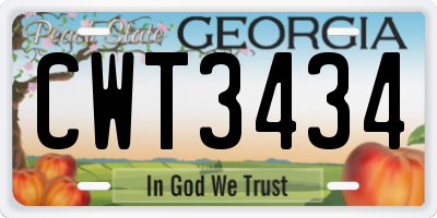 GA license plate CWT3434