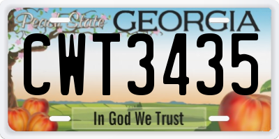 GA license plate CWT3435
