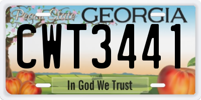 GA license plate CWT3441