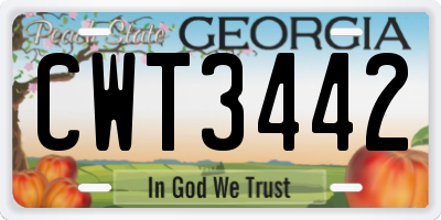 GA license plate CWT3442