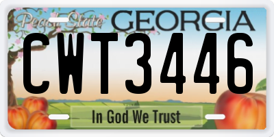 GA license plate CWT3446