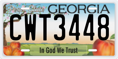 GA license plate CWT3448