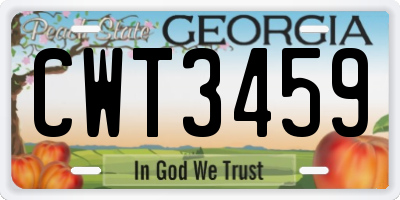 GA license plate CWT3459