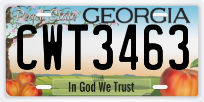 GA license plate CWT3463