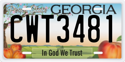 GA license plate CWT3481