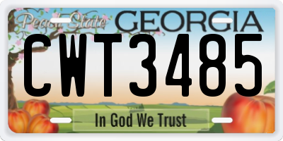 GA license plate CWT3485