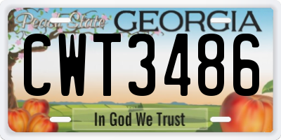 GA license plate CWT3486