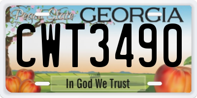 GA license plate CWT3490