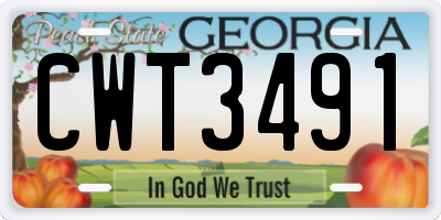 GA license plate CWT3491