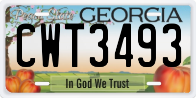 GA license plate CWT3493