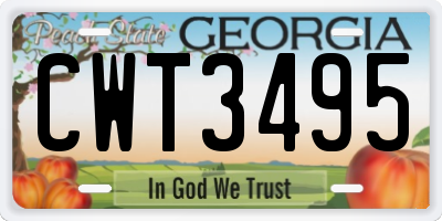GA license plate CWT3495