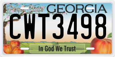 GA license plate CWT3498