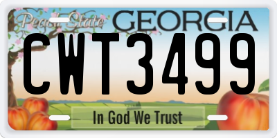 GA license plate CWT3499