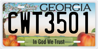 GA license plate CWT3501