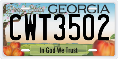 GA license plate CWT3502