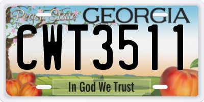 GA license plate CWT3511