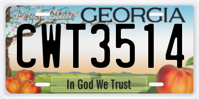 GA license plate CWT3514