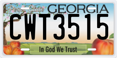 GA license plate CWT3515