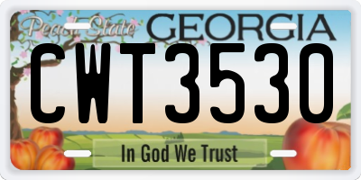 GA license plate CWT3530