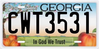 GA license plate CWT3531