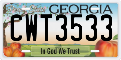 GA license plate CWT3533