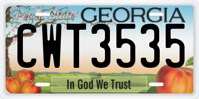 GA license plate CWT3535