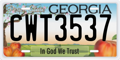 GA license plate CWT3537