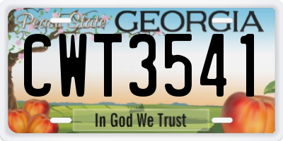 GA license plate CWT3541