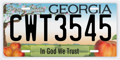 GA license plate CWT3545