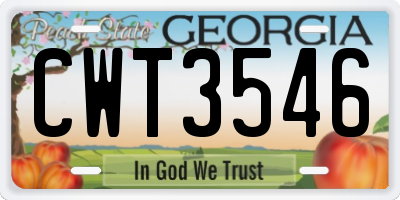 GA license plate CWT3546
