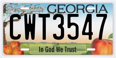 GA license plate CWT3547