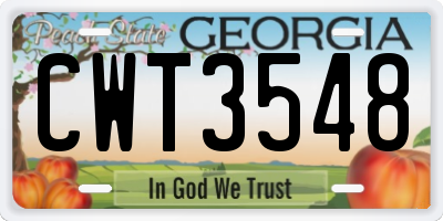 GA license plate CWT3548