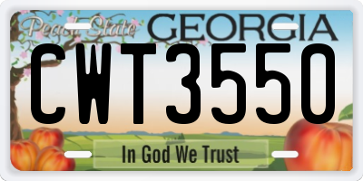 GA license plate CWT3550