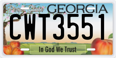GA license plate CWT3551