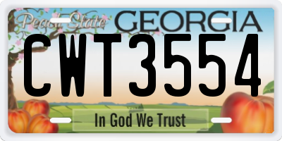 GA license plate CWT3554