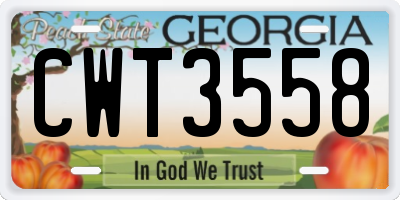 GA license plate CWT3558
