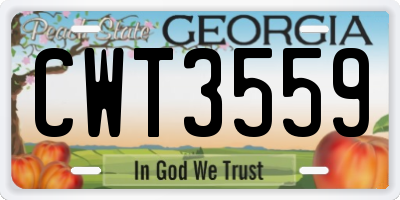GA license plate CWT3559