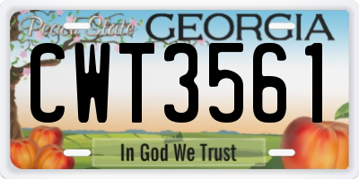 GA license plate CWT3561
