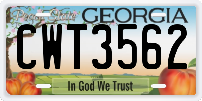 GA license plate CWT3562