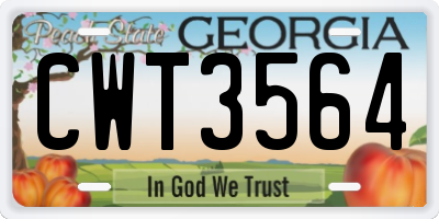 GA license plate CWT3564