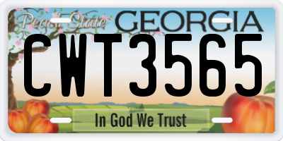 GA license plate CWT3565
